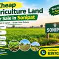 Cheap Agriculture Land For Sale In Sonipat &ndash; High ROI Land Investment