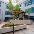 SAR 500,  9000 Sq. Meter,  Office Rentals In Western Riyadh