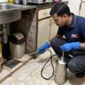 Termite Control Services