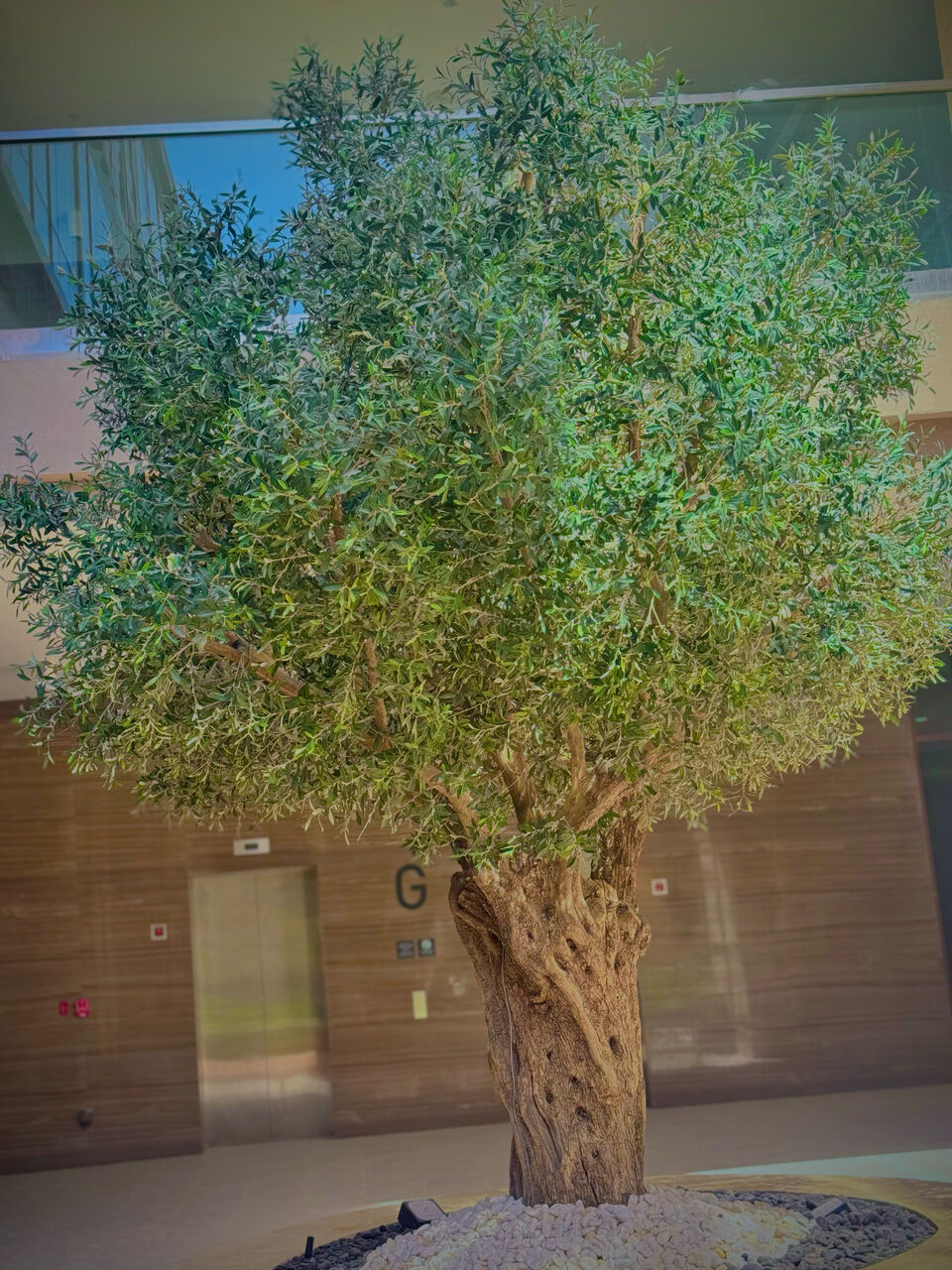 Riyadh, Job Seekers, Plantation Contractor