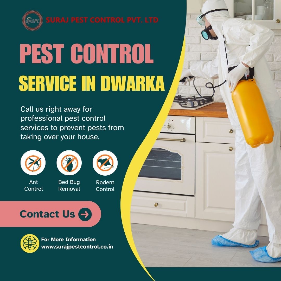 Dwarka, Pest Control, Best Pest Control Services In Dwarka Book Professional Services