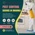 Best Pest Control Services In Dwarka Book Professional Services
