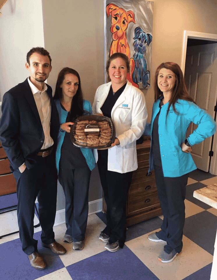 New York, Business, Veterinary Internal Medicine In Oxford, MS | Oxford Veterinary Clinic