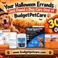 Your Halloween Errands Just Found A Dog Care Deal At BudgetPetCare