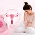 Best IVF & Infertility Treatment Center In Delhi