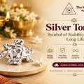 Order Silver Tortoise Online At Best Price | The Stardust Studio