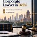 How Can A Corporate Lawyer In Delhi Help Protect Your Business Legally?