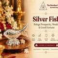 Order Silver Fish (Chandi Ki Machli) Online At Best Price | The Stardust Studio