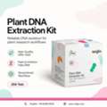 Plant DNA Extraction Kit For Genomic DNA Isolation | Seqlo