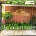 Best Resorts In Coorg For Relaxing With Nature