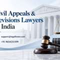 How Can Civil Appeals & Revisions Lawyers In India Help Challenge Court Decisions?