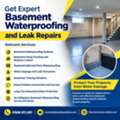 Hire Expert Basement Waterproofing And Leak Repair Specialists