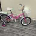 SAR 150, Electric Scooter & Bicycle