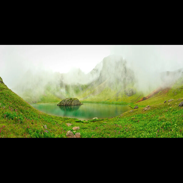 New York, Collectibles, USD 2350,  Whispers Of Eden | Alpine Lake Wildflower Panorama