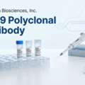 Cas9 Polyclonal Antibody