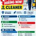 CLEANERS