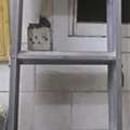 SAR 110,  Heavy Duty Ladder For Sale , Six Steps