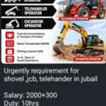 Back Hold Load Operator, Telehandler Operator, Excavator Operator