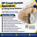 Professional DP Cream System For Rising Damp Treatment