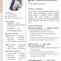 Sales Executive