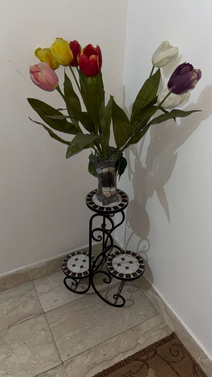 Dammam, Furniture, SAR 200,  Plant Stand For Sale