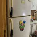 SAR 600,  Fridge American Brand