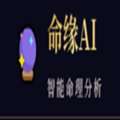 命緣AI