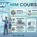 Who Can Learn SAP MM? Eligibility And Requirements