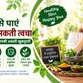 Ayurvedic Doctor In Lucknow - Traditional Healthcare