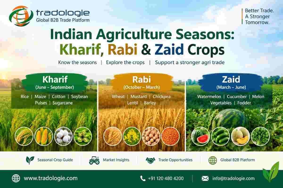 Lucknow, Food, INR 25,  Indian Agriculture Seasons: Kharif, Rabi & Zaid Crops