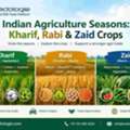 INR 25,  Indian Agriculture Seasons: Kharif, Rabi & Zaid Crops