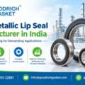 Best Metallic Lip Seal Manufacturer In India | Goodrich Gasket
