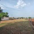 INR 8500,  1600 Sq. Yard,  1600SQ YARD PLOT FOR SALE(JUST A FEW METERS FROM HIGHWAY)