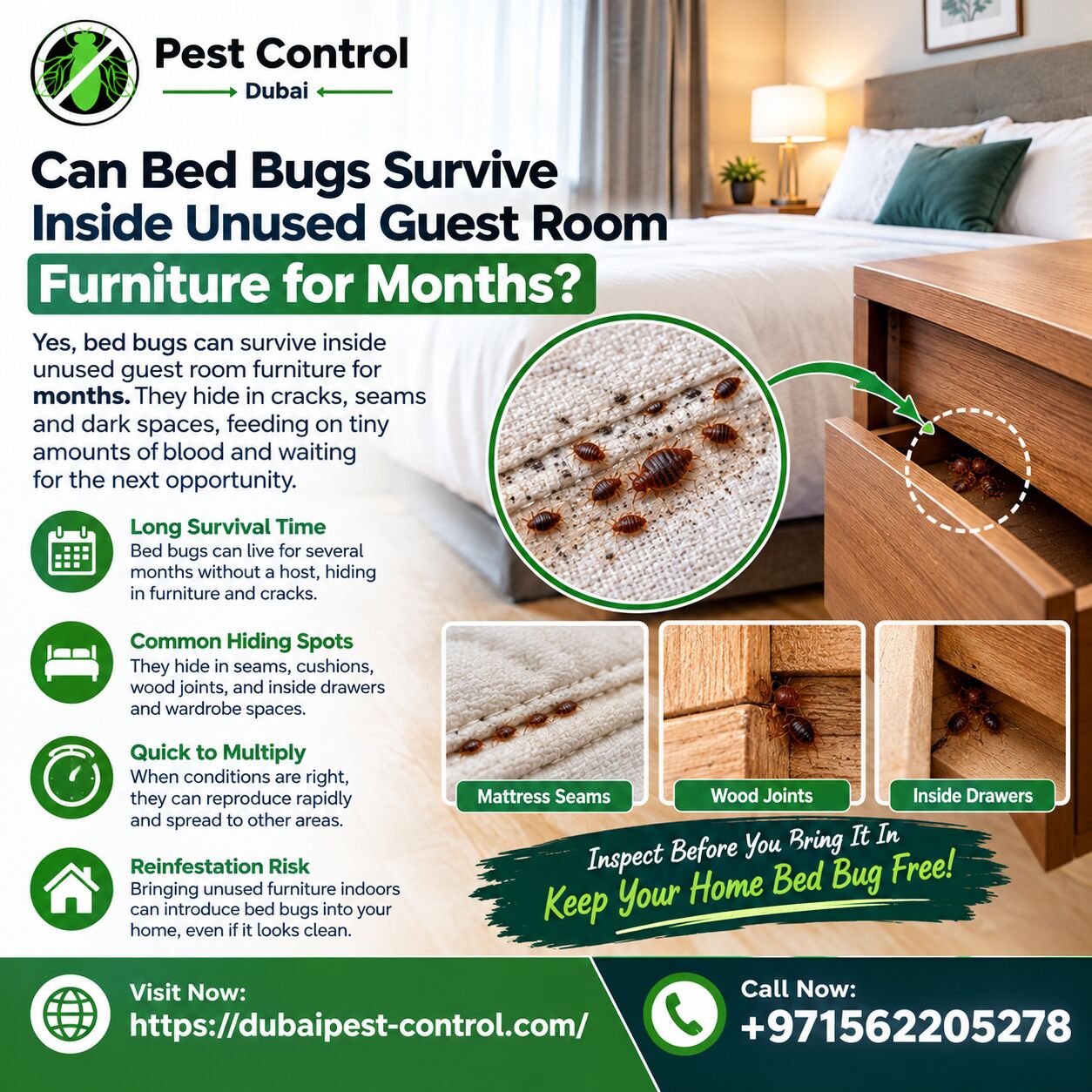 Dubai, Pest Control, Can Bed Bugs Survive Inside Unused Guest Room Furniture For Months?