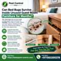 Can Bed Bugs Survive Inside Unused Guest Room Furniture For Months?