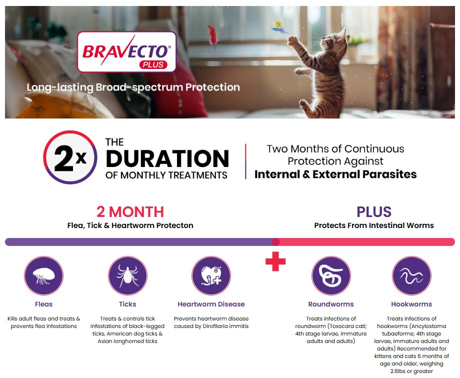New York, Pet Supplies, USD 35,  Bravecto Plus For Cats - Broad-Spectrum Parasite Protection - PetCareClub