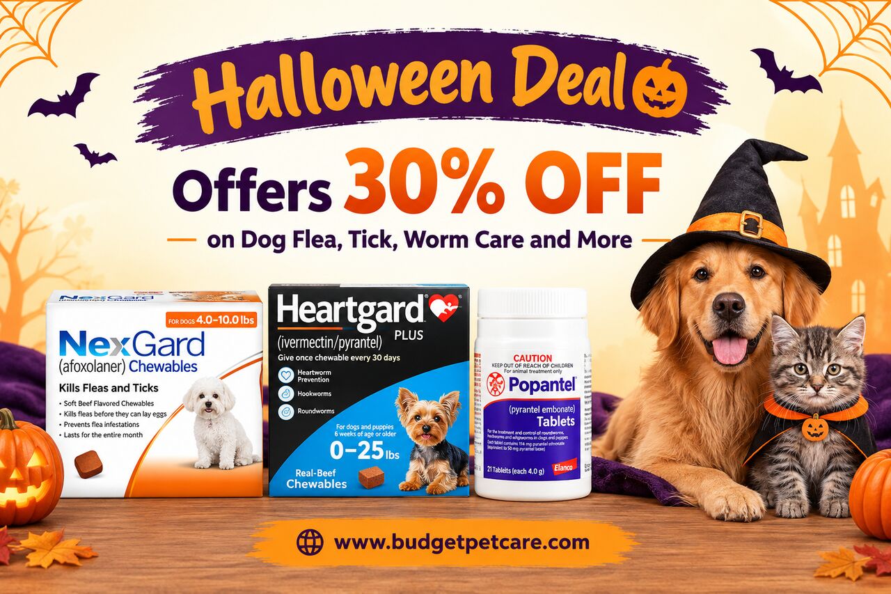 New York, Pet Supplies, BudgetPetCare Halloween Deal Offers 30% OFF On Dog Flea, Tick, Worm Care And More