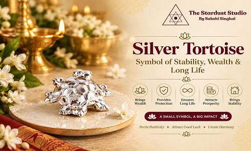Gurgaon, Business, Shop Silver Tortoise Online At Best Price | The Stardust Studio