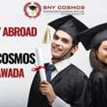 Career Study Abroad With SNY Cosmos In Vijayawada