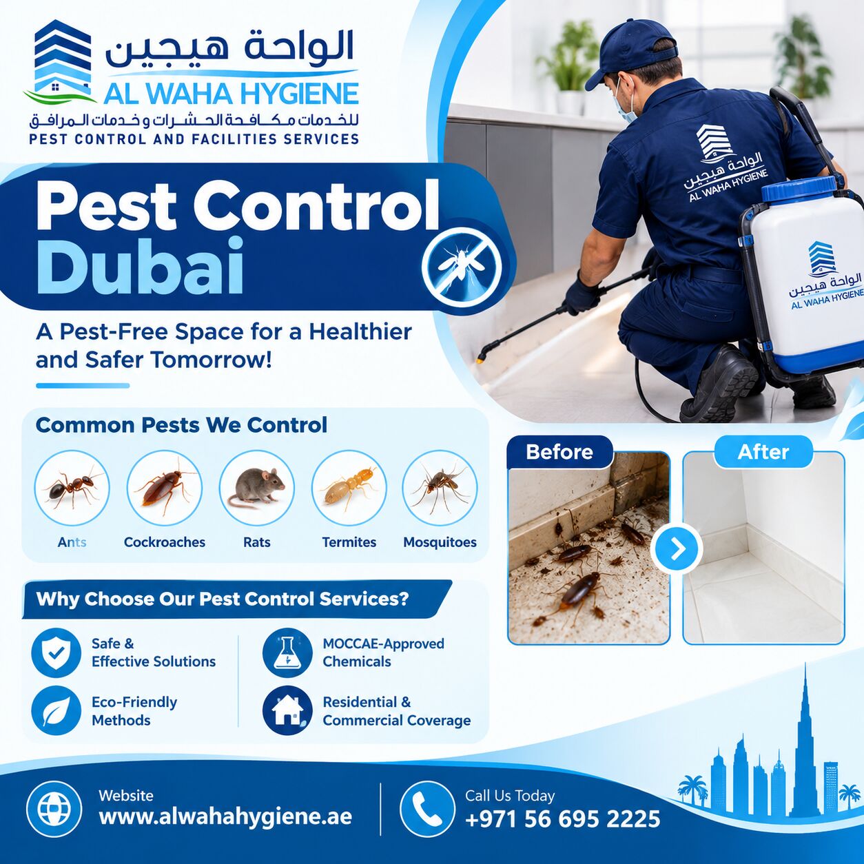 Dubai, Pest Control, Protect Your Property With Reliable Pest Control Services In Dubai &ndash; Book Now: +971 56 695