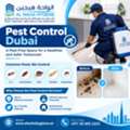 Protect Your Property With Reliable Pest Control Services In Dubai &ndash; Book Now: +971 56 695