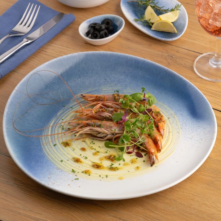 New York, Household Items, USD 268,  Porcelain Plate | 11.4" Vital Coupe Elevated Plate | 6 Pcs