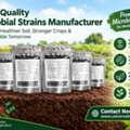 USD 35,  Get Product Information From A Microbial Strains Manufacturer &ndash; Connect With The Team