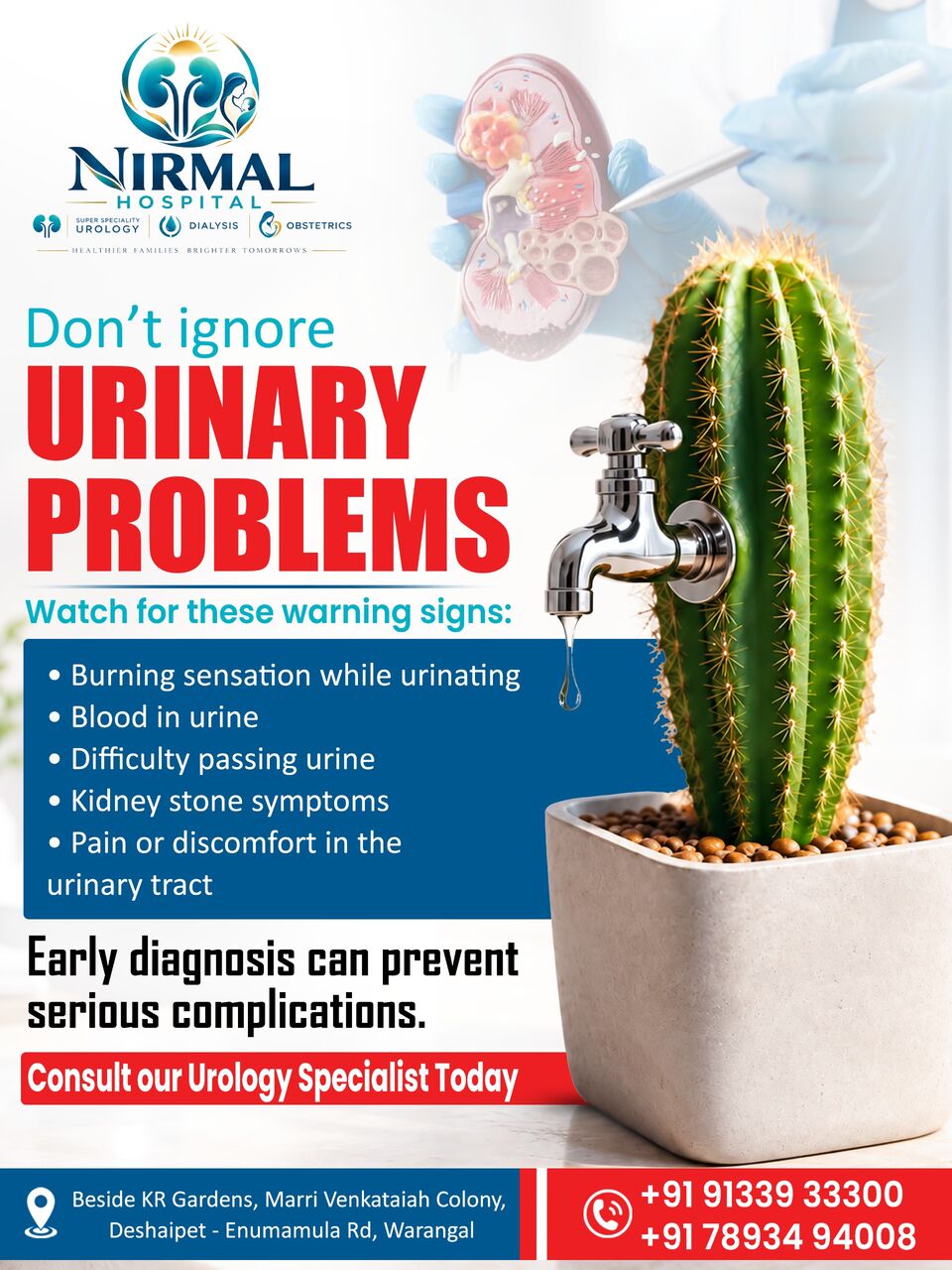 Kurnool, Medical, Kidney Specialist Hospital In Warangal
