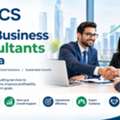 Best Business Consultants In India &ndash; MARCS BizAdvisors