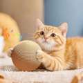 USD 5,  Buy The Best Interactive Dog & Cat Toys & Fun Kitty Toys