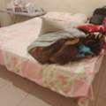 SAR 200,  2 Single Beds With 2 Single Mattresses
