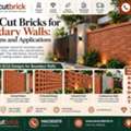 Wire Cut Clay Bricks Supplier