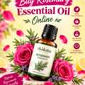 Buy Rosemary Essential Oil Online In India | Moksha Lifestyle