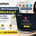 Norton Web Protection Not Working? Fix It Fast | +45-92457059